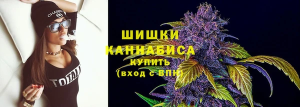 не бодяженный Новодвинск
