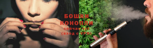 амф Арсеньев