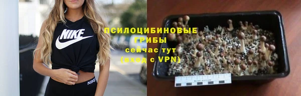 амф Арсеньев