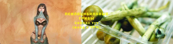 амф Аркадак