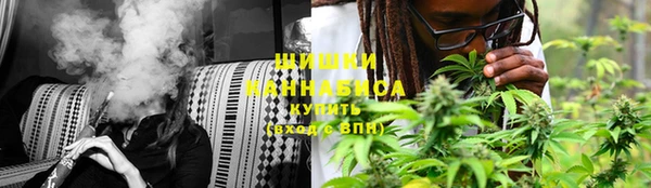 амф Аркадак